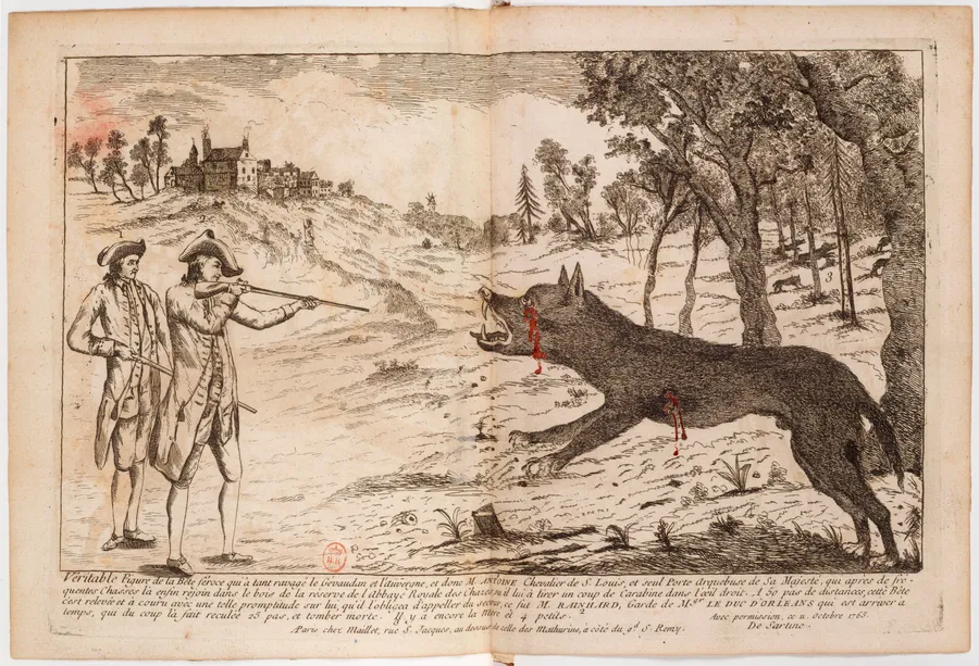 « Véritable figure de la bête féroce qui a tant ravagé le Gévaudan », gravure du XVIIIe siècle (recueil Magné de Marolles).