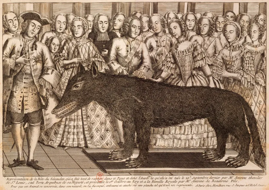 Le loup des Chazes, abattu par François Antoine le 20 septembre 1765 et présenté à la cour, gravure d'époque.