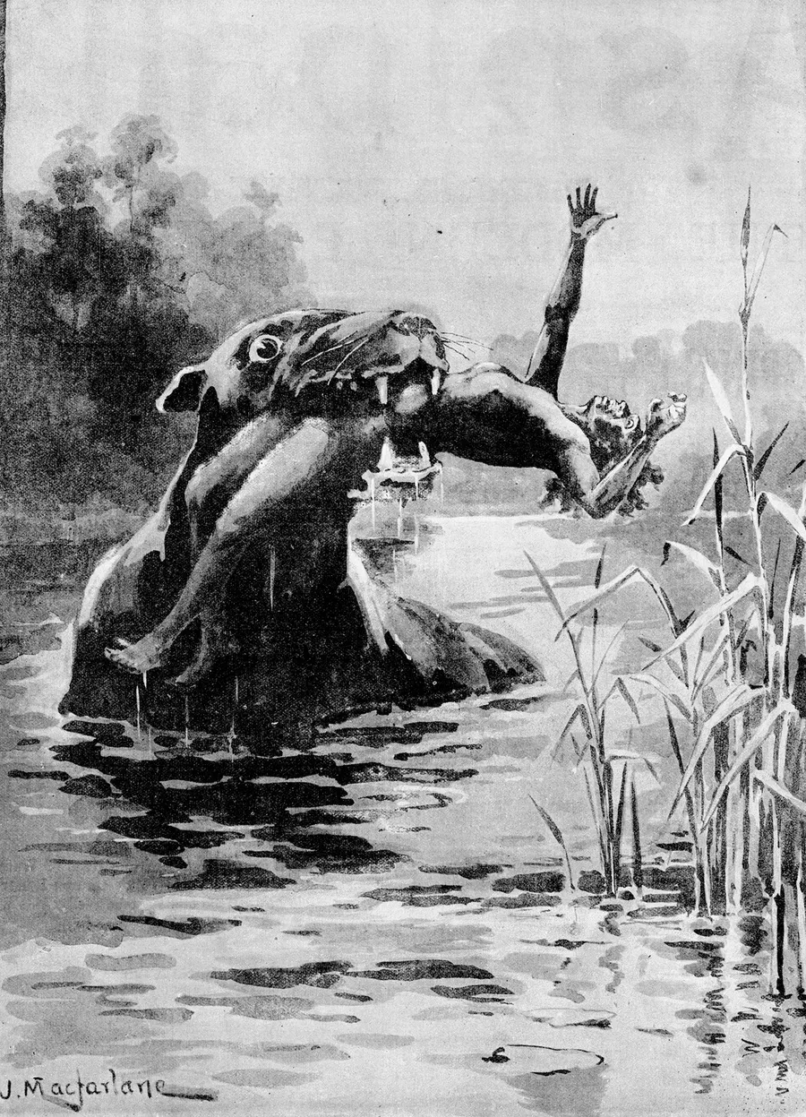 Le bunyip vu par l'Illustrated Australian News, gravure de J. Macfarlane, 1890.