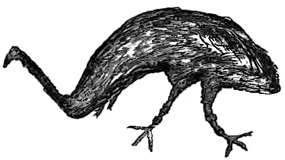 Le bunyip « Toor-roo-dun », figure du livre The Aborigines of Victoria, 1878.