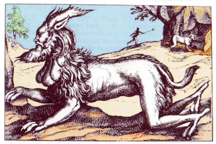 Le drac à tête humaine, illustration du XIXe siècle.