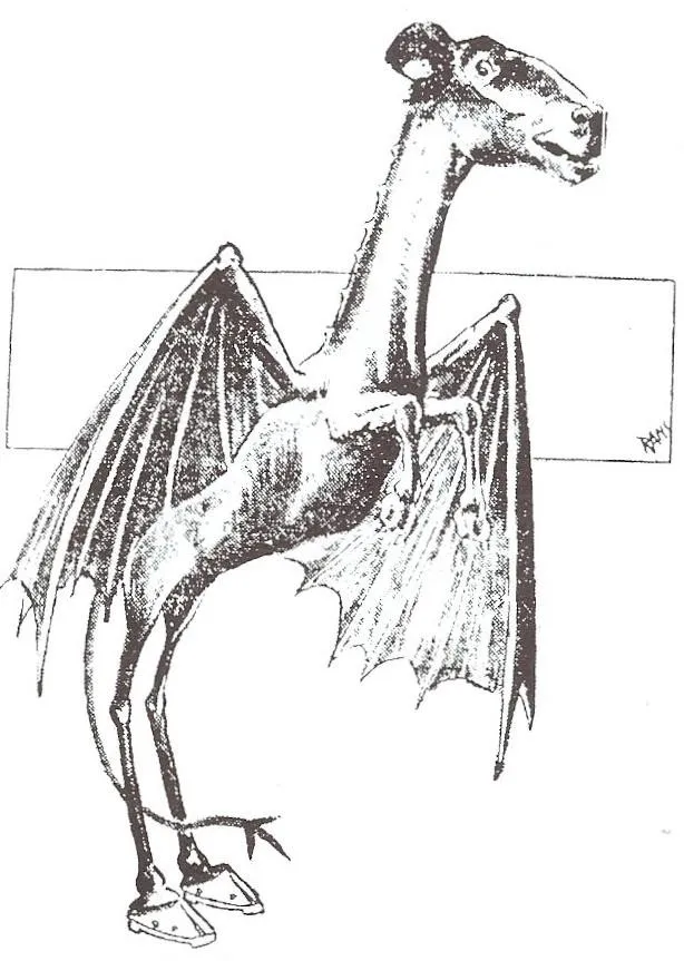 Le Diable de Jersey croqué par la presse de Philadelphie pendant la grande panique de janvier 1909.