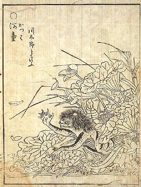 Le kappa dessiné par Toriyama Sekien dans le Gazu Hyakki Yagyô, son grand catalogue de yôkai (1776).
