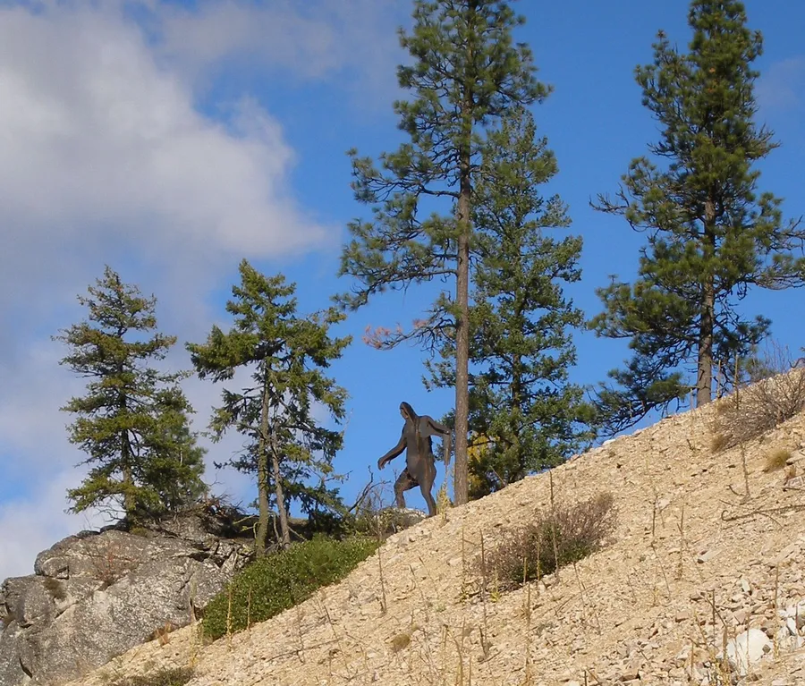 Statue de sasquatch de plus de cinq mètres accueillant les visiteurs au col de Disautel, sur la Coulee Corridor Scenic Byway (État de Washington).